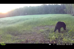 1398 12 Mile Rd, Remus, MI 49340 - Photo 99