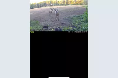 1398 12 Mile Road, Remus, MI 49340 - Photo 65