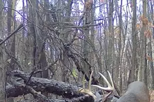 1398 12 Mile Rd, Remus, MI 49340 - Photo 61