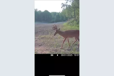 1398 12 Mile Road, Remus, MI 49340 - Photo 93