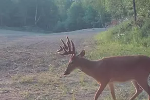 1398 12 Mile Rd, Remus, MI 49340 - Photo 93