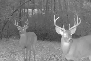 1398 12 Mile Rd, Remus, MI 49340 - Photo 81