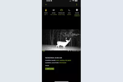 1398 12 Mile Road, Remus, MI 49340 - Photo 105