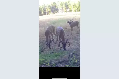 1398 12 Mile Road, Remus, MI 49340 - Photo 95