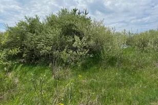 305 E Johnson Rd, Scottville, MI 49454 - Photo 5