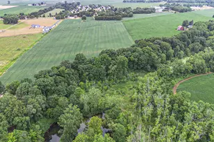 7005 US-31, Berrien Springs, MI 49103 - Photo 1