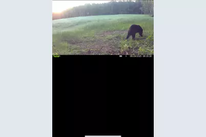 360 12 Mile Road, Remus, MI 49340 - Photo 99