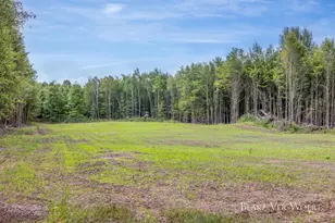 360 12 Mile Rd, Remus, MI 49340 - Photo 51