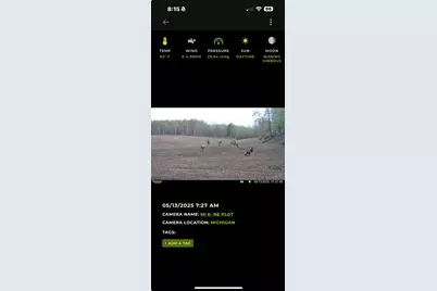 360 12 Mile Road, Remus, MI 49340 - Photo 77