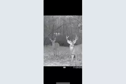 360 12 Mile Road, Remus, MI 49340 - Photo 81