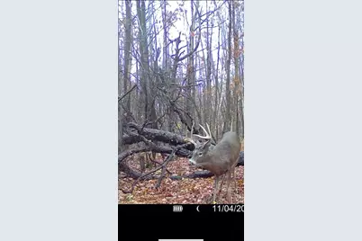 360 12 Mile Road, Remus, MI 49340 - Photo 61