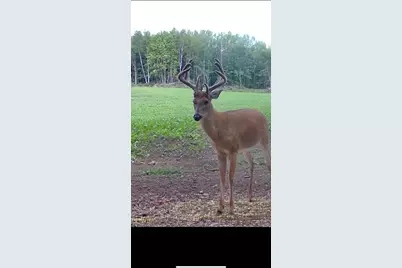 360 12 Mile Road, Remus, MI 49340 - Photo 75