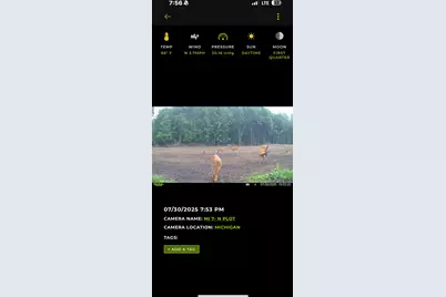 360 12 Mile Road, Remus, MI 49340 - Photo 67