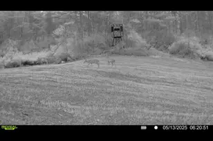 360 12 Mile Rd, Remus, MI 49340 - Photo 79