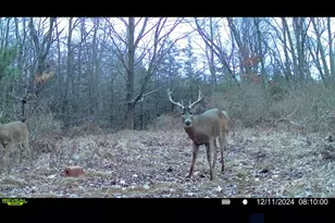 360 12 Mile Rd, Remus, MI 49340 - Photo 65