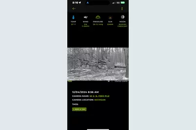 360 12 Mile Road, Remus, MI 49340 - Photo 63