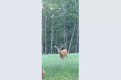 360 12 Mile Road, Remus, MI 49340 - Photo 97