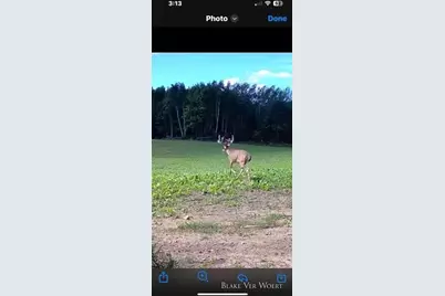 360 12 Mile Road, Remus, MI 49340 - Photo 27