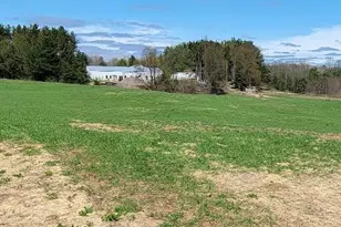 7909 11 Mile Rd, Bear Lake, MI 49614 - Photo 23