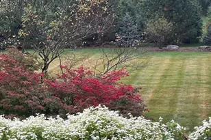 2349 Windmill Way, Saline, MI 48176 - Photo 9