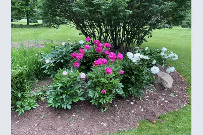 2349 Windmill Way, Saline, MI 48176 - Photo 91