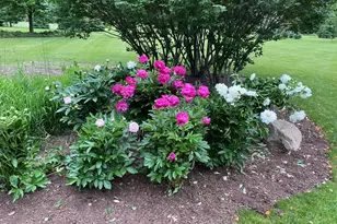 2349 Windmill Way, Saline, MI 48176 - Photo 91