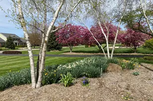 2349 Windmill Way, Saline, MI 48176 - Photo 7