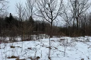 01275 47 1/2 St, Grand Junction, MI 49056 - Photo 3