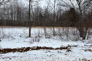 01275 47 1/2 St, Grand Junction, MI 49056 - Photo 5