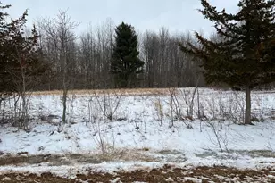 01275 47 1/2 St, Grand Junction, MI 49056 - Photo 7