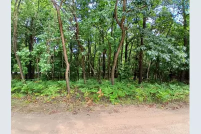 Ridge Road, Mears, MI 49436 - Photo 5