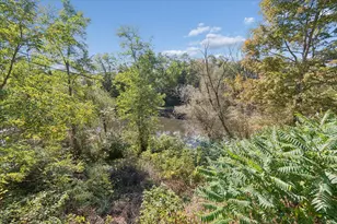 206 Ann Arbor St, Manchester, MI 48158 - Photo 47