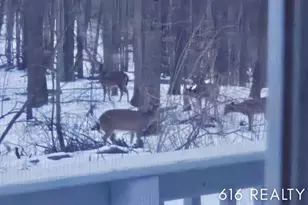 7358 Willowwood Dr NE, Belmont, MI 49306 - Photo 33