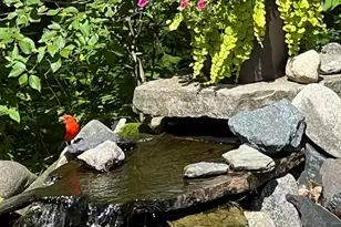 8482 S Cypress Ave, Newaygo, MI 49337 - Photo 51