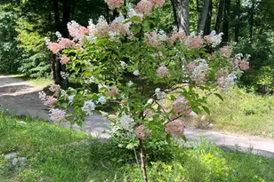 8482 S Cypress Ave, Newaygo, MI 49337 - Photo 57