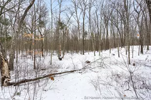 8482 S Cypress Ave, Newaygo, MI 49337 - Photo 63