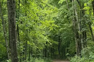 8482 S Cypress Ave, Newaygo, MI 49337 - Photo 59