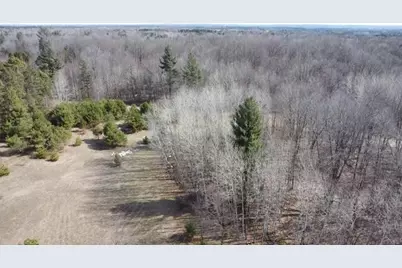 Vl 17 9 Mile Road, Kaleva, MI 49645 - Photo 25