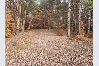 Vl 17 9 Mile Road, Kaleva, MI 49645 - Photo 5