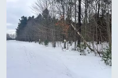 Vl 17 9 Mile Road, Kaleva, MI 49645 - Photo 19