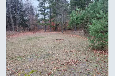 Vl 17 9 Mile Road, Kaleva, MI 49645 - Photo 9