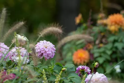 353 Riders Trail NE, Ada, MI 49301 - Photo 103