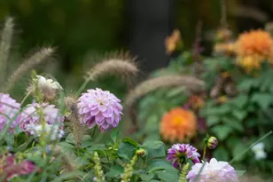 353 Riders Trail NE, Ada, MI 49301 - Photo 103