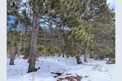 7313 W 12 1/2 Road, Mesick, MI 49668 - Photo 75