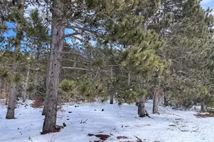 7313 W 12 1/2 Rd, Mesick, MI 49668 - Photo 75