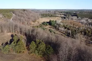 7313 W 12 1/2 Rd, Mesick, MI 49668 - Photo 19