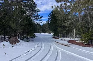 7313 W 12 1/2 Rd, Mesick, MI 49668 - Photo 79