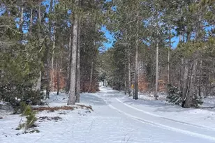 7313 W 12 1/2 Rd, Mesick, MI 49668 - Photo 69