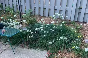 768 Watersedge Dr, Ann Arbor, MI 48105 - Photo 33