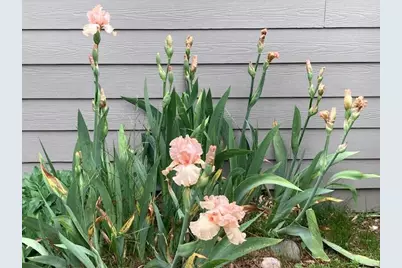 768 Watersedge Drive, Ann Arbor, MI 48105 - Photo 29